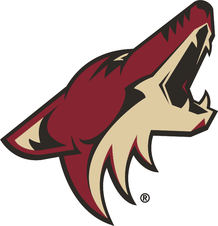 Arizona Coyotes 2014-Pres Primary Logo fabric transfer